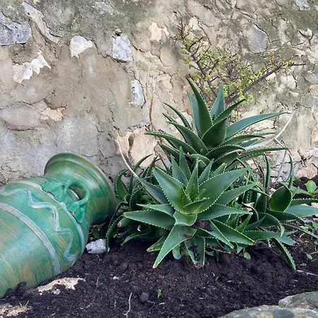 Daire La Dimora Delle Coste Comiso