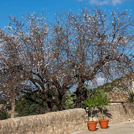 La Dimora Delle Coste *
